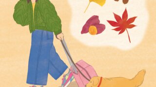 女性秋犬ゴールデンレトリバー紅葉旅行