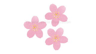 桜植物花イラスト